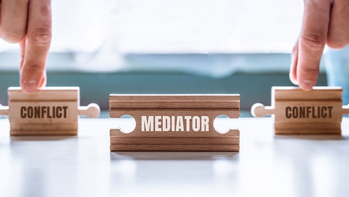 The Role of the Mediator